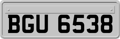 BGU6538