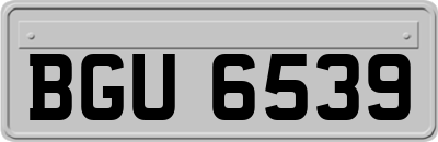 BGU6539