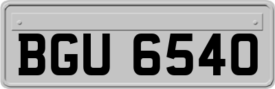 BGU6540