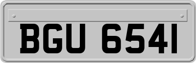 BGU6541