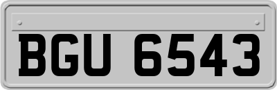 BGU6543