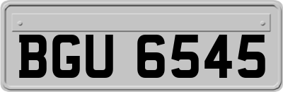BGU6545
