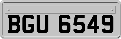 BGU6549
