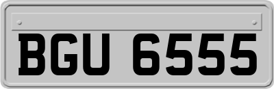 BGU6555