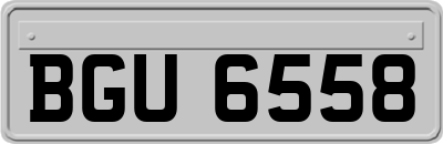 BGU6558