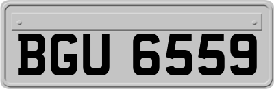 BGU6559