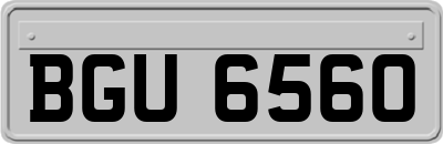 BGU6560