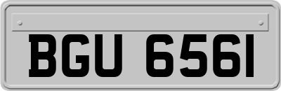 BGU6561