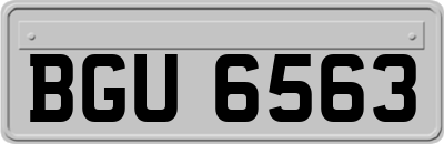 BGU6563