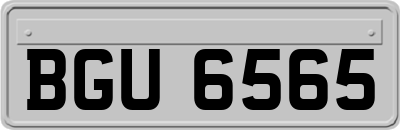 BGU6565
