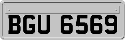 BGU6569