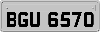 BGU6570