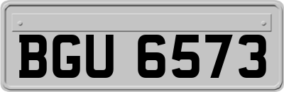 BGU6573