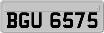 BGU6575