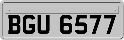 BGU6577