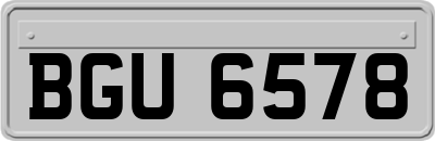 BGU6578