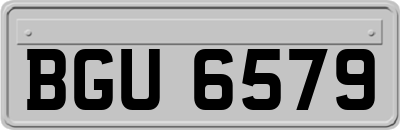 BGU6579