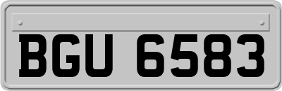 BGU6583