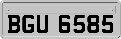 BGU6585