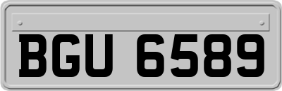 BGU6589