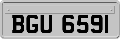 BGU6591