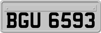 BGU6593