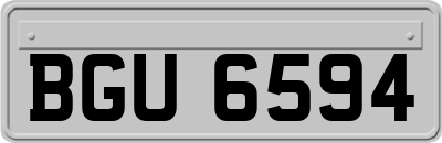 BGU6594