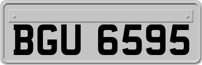 BGU6595