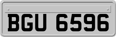 BGU6596