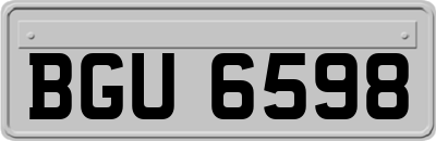 BGU6598