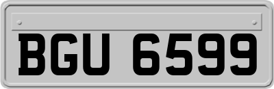 BGU6599