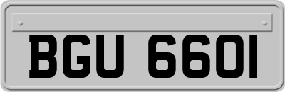 BGU6601