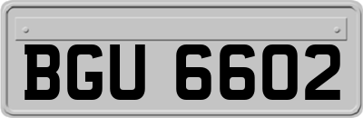 BGU6602