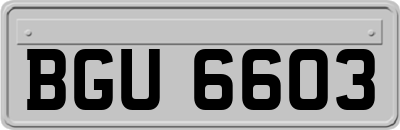 BGU6603