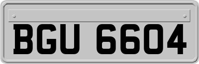 BGU6604