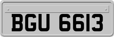 BGU6613