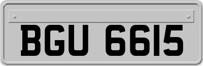 BGU6615