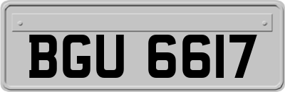 BGU6617