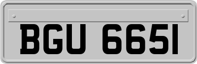 BGU6651