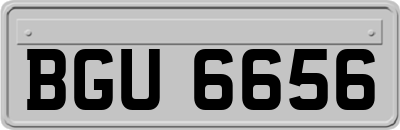 BGU6656