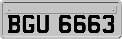 BGU6663