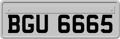 BGU6665