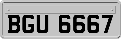 BGU6667