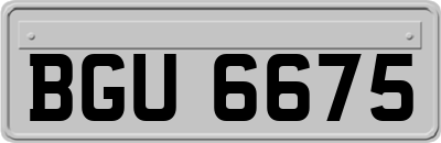 BGU6675