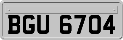 BGU6704
