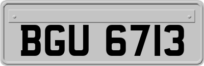 BGU6713