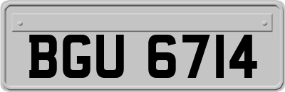 BGU6714