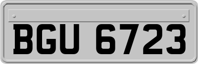 BGU6723