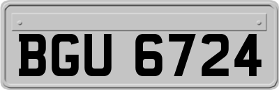 BGU6724