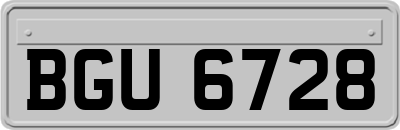 BGU6728